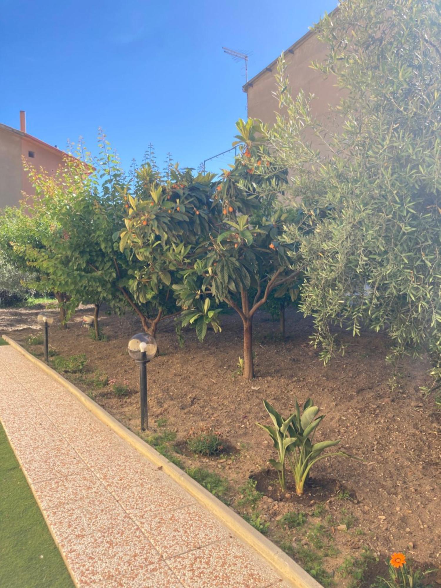 Casa Vacanze Il Giardino Villamassargia Zewnętrze zdjęcie